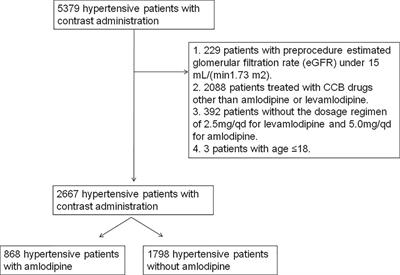 Protective Effects of Amlodipine Pretreatment on Contrast-Induced Acute Kidney Injury And Overall Survival In Hypertensive Patients